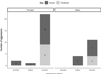 Infanticide in a colonial cooperative bird is not associated with direct reproductive benefits