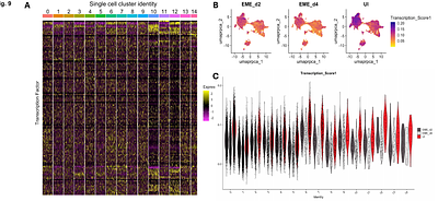 Insights into tick-pathogen interactions - a single cell RNA sequencing approach of transcriptional changes during ehrlichial infection