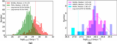 Compact Objects Revealed by SKA and SKA-VLBI