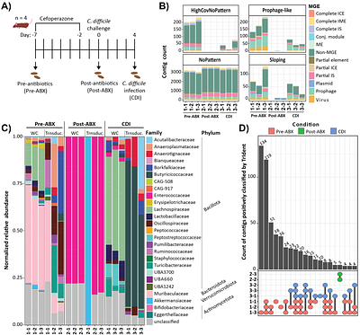 Perturbations shift the composition of bacterial DNA carried by virus-like particles in the murine gut microbiome