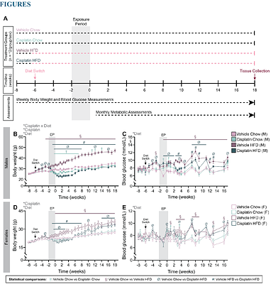 Cisplatin exposure alters long-term metabolic phenotype of male, but not female, high-fat diet-fed mice.