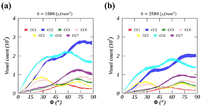 Unifying Orientation-Dependent Relaxation and Diffusion Around Axonal Fibers from DTI: Characterizing Fiber-Tract-Specific Anisotropic R2 Profiles of the Corpus Callosum