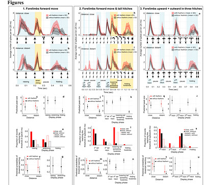 Display functions of dinosaur proto-wings before powered flight