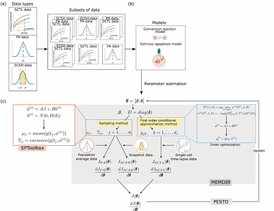 Nonlinear mixed-effect models and tailored parametrization schemes enables integration of single cell and bulk data
