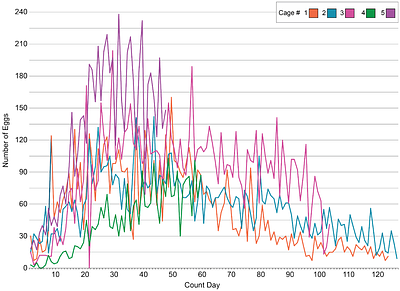 Husbandry and Maintenance of Carausius morosus Laboratory Populations
