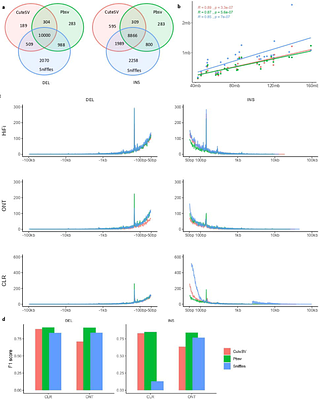 Comprehensive detection of structural variations in long and short reads dataset of French cattle