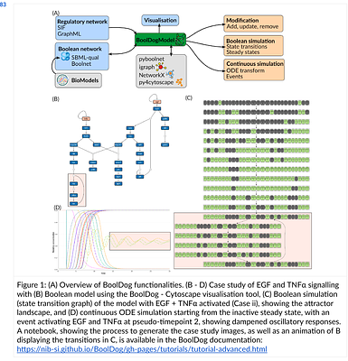 BoolDog: integrated Boolean and semi-quantitative network modelling in Python