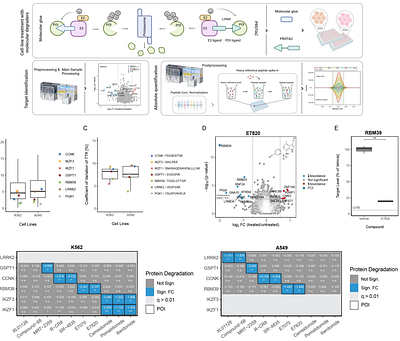 A flexible end-to-end automated sample preparation workflow enables reproducible large-scale bottom-up proteomics
