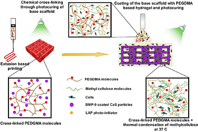 A novel 3D-printed hydrogel platform for controlled delivery of BMP-9 coated calcium sulfate microparticles with co-delivery of preosteoblasts from a cell encapsulated coating layer