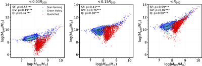 The Intrinsic Multiphase Gas--Black Hole Connection across Scales in IllustrisTNG