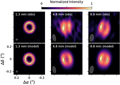 Large Dust Grains and a Possible Dust Trap in the Polar Circumbinary Disc of HD 98800B