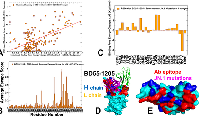 Conformational Landscaping and Dynamic Mutational Profiling of Binding Interactions and Immune Escape for Broadly Neutralizing Class I Antibodies with SARS-CoV-2 Spike Protein:  Distributed Binding Hotspot Networks Underlie Mechanism of Viral Resistance Against Existing Variants