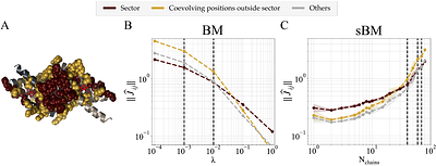 Improved inference of multiscale sequence statistics in generative protein models