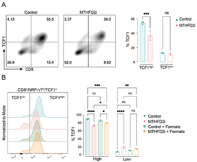 Inhibition of formate production blocks CD8+ T-cell responses and delays disease onset in a mouse model of type 1 diabetes