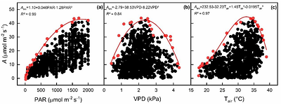Field-based prediction of sugarcane photosynthesis through environmental inputs