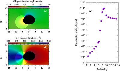 Disk reflection as the origin of the X-ray polarization of NGC 4151 with IXPE