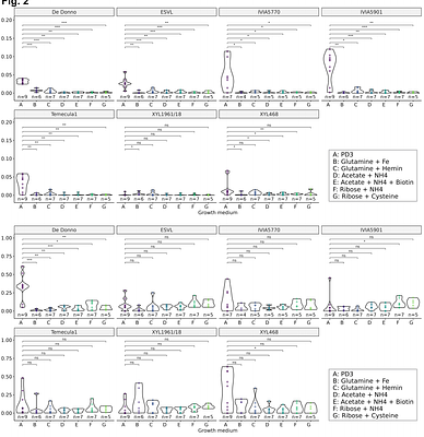 A metabolic model based on a pangenome core unveils new biochemical features of the phytopathogen Xylella fastidiosa