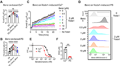 Targeting PIEZO1-TMEM16F Coupling to Mitigate Sickle Cell Disease Complications