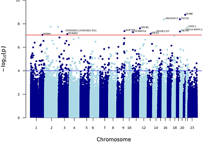 Schizophrenia-associated DNA methylation differences in the cortex are neuron-specific