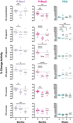 GEF me a break: the consequences of freezing Rho guanine-nucleotide exchange factor catalytic domains