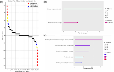 Meta-Analysis of Wild Relatives and Domesticated Species of Rice, Tomato, and Soybean Using Publicly Available Transcriptome Data