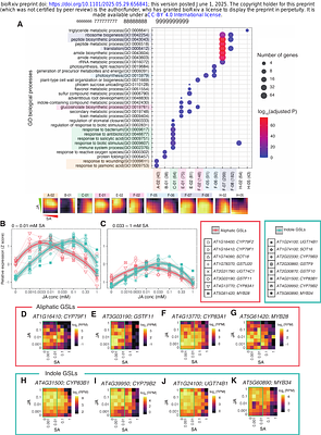 Systematic measurements of dose-dependent responses for combinatorial treatments of SA and JA led to the development of transcriptomic biomarkers