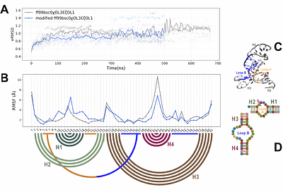 Critical structural perturbations of ribozyme active sites induced by 2'-O-methylation commonly used in structural studies