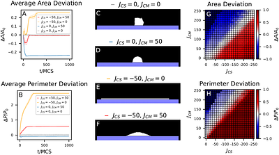 Cortical Tension Links Curvature to Tissue Growth in the Cellular Potts Model