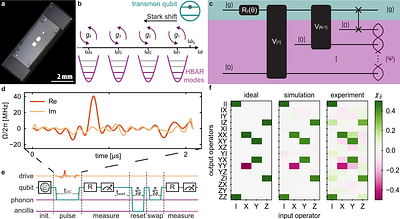 Deterministic and programmable generation of mechanical multipartite entangled states