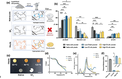 Molecular Engineering of Silk via Fatty Acid Esterification for Water-Stable, Anti-fouling, Biocompatible, Implantable Materials