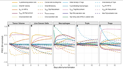A Comparison of Mechanisms Driving Lesion Outcomes during Lung Tumor and Tuberculosis Granuloma Formation