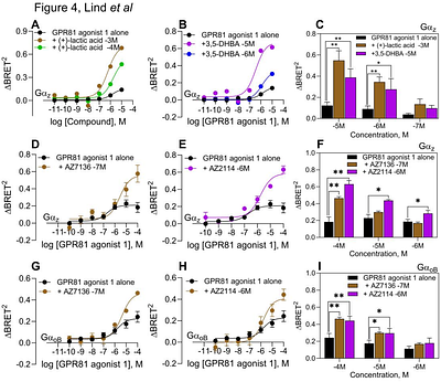 Profiling of HCAR1 signaling reveals Gαi/o and Gαs activation without β-arrestin recruitment and the discovery of an allosteric agonist