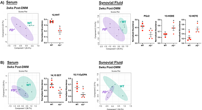 Complement factor D (adipsin) mediates pressure-pain hypersensitivity post destabilization of medial meniscus injury