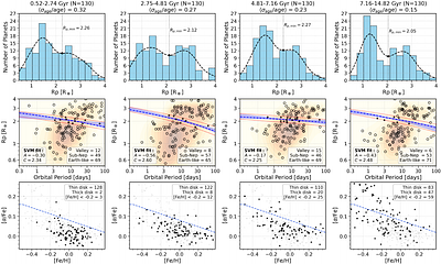Insights into the Exoplanet Radius Valley from Host-Star Ages, Activity, Chemistry, and Birth Radius