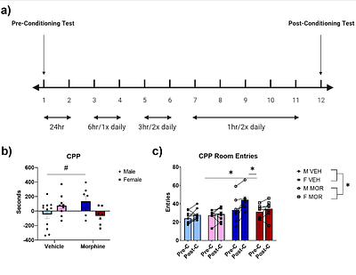 Perigestational Opioid Exposure Alters Alcohol-Driven Reward Behaviors in Adolescent Rats
