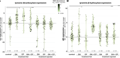 Virus specific impacts on honey bee flight performance are mediated by the octopamine pathway