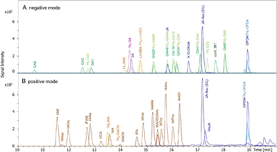 Quantification of Phytohormones in Plants - Optimized Extraction, Separation and Detection
