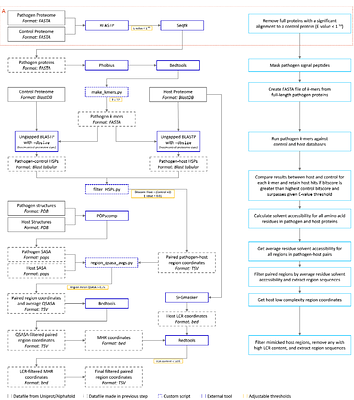 mimicDetector: a pipeline for protein motif mimicry detection in host-pathogen systems