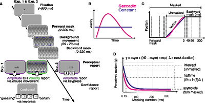 Static masks and saccadic velocity profile jointly reduce perceived motion: Evidence from simulated saccades