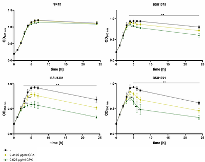 Fluoroquinolone-Triggered Prophage Induction in Streptococcus anginosus Reveals Lytic Cycle, CRISPR-Prophage Interplay, and the potential for Cross-Species Horizontal Gene Transfer