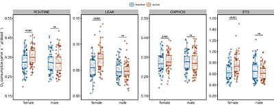 Experimental evidence for reproduction to increase mitochondrial respiration, but decrease mitochondrial efficiency, in females of a short-lived bird