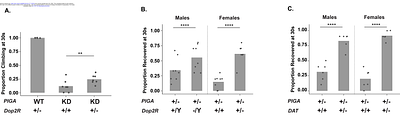 A drug repurposing screen reveals dopamine signaling as a candidate therapeutic pathway for PIGA-CDG