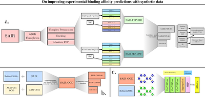 On improving experimental binding affinity predictions with synthetic data