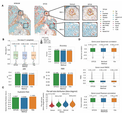 STCS: A Platform-Agnostic Framework for Cell-Level Reconstruction in Sequencing-Based Spatial Transcriptomics