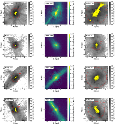 SIRIUS: The relation between the diversity of dwarf galaxies and their formation histories