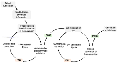 Gene Loss DB: A curated database for gene loss in vertebrate species.
