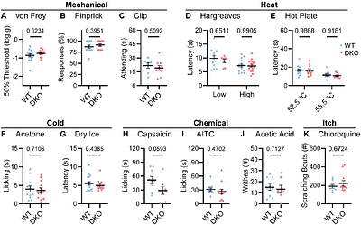Pain persists in mice lacking both Substance P and CGRPα signaling