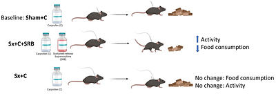 Metabolic Cage Analysis of Surgically Catheterized C57Bl/6J Mice (Mus musculus) Treated with Carprofen and Sustained-release Buprenorphine