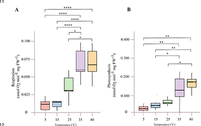 Liquid-phase determination of Arabidopsis respiration and photosynthesis using Clark-type O2 electrodes