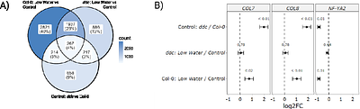 Delay in flowering time in Col-0 under water deficit and in ddc triple knockout mutant